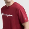 T-shirt clássica com grafismo, Script Logo